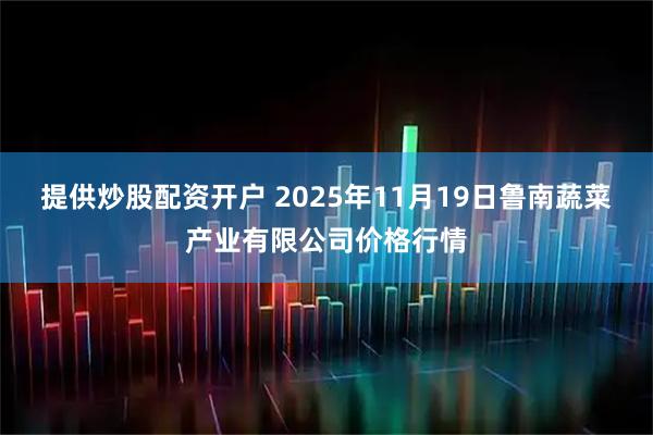 提供炒股配资开户 2025年11月19日鲁南蔬菜产业有限公司价格行情