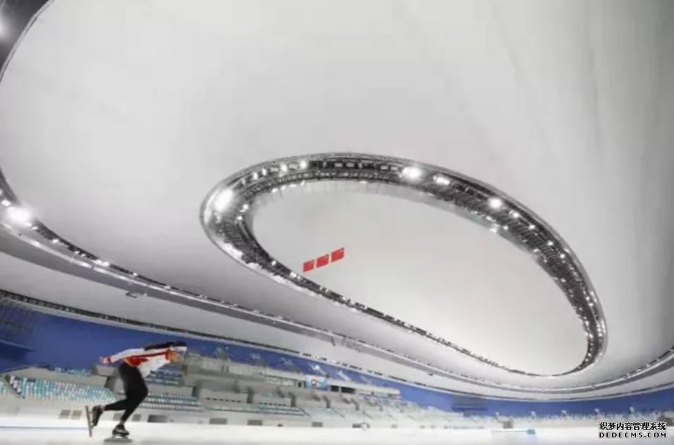 Seel首席营收官：中国品牌全球化应更加注重售后体验